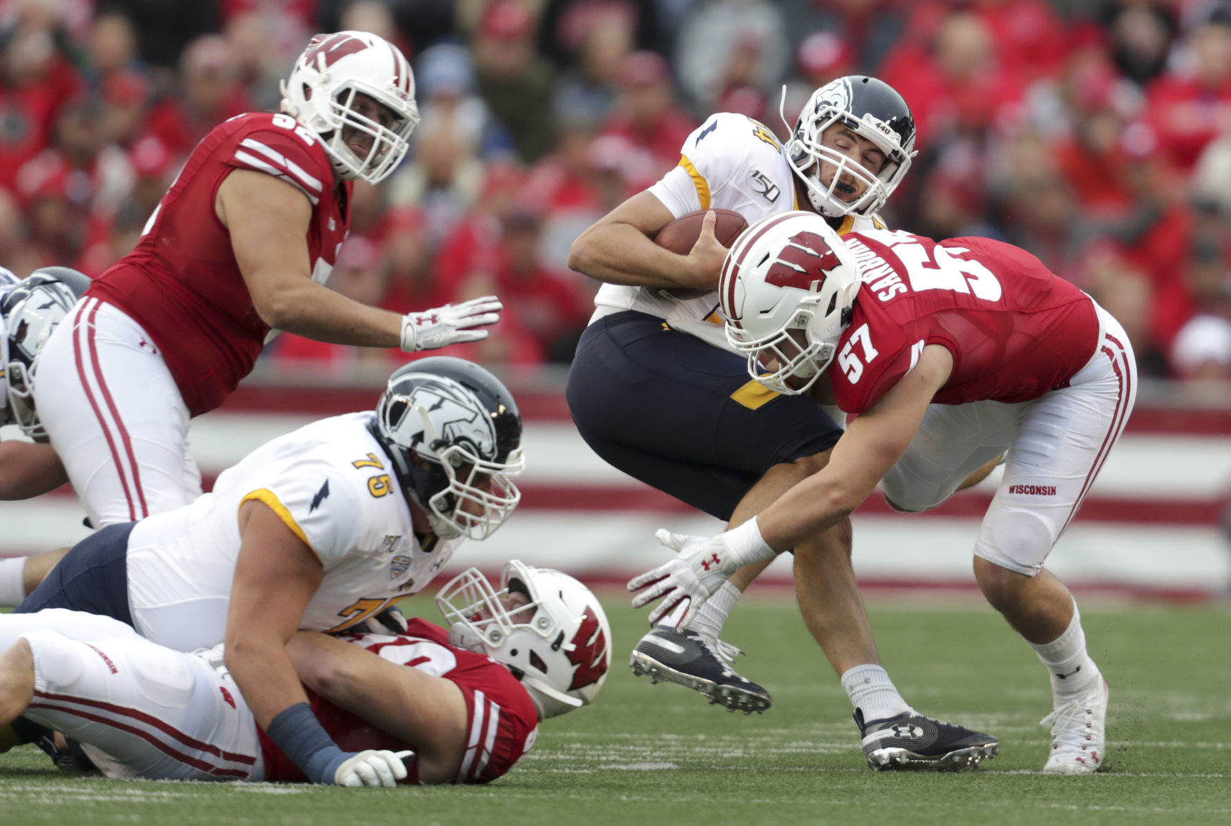 Badgers 48, Golden Flashes 0